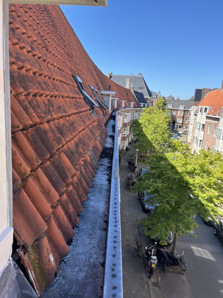 dak schoonmaken
